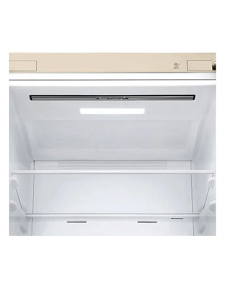 Холодильник LG GC-B509MEWM