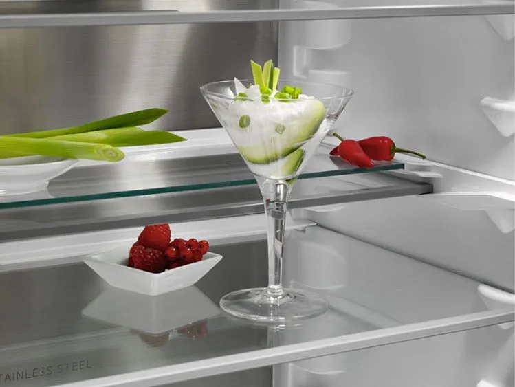 Холодильник AEG TSC8M191CS