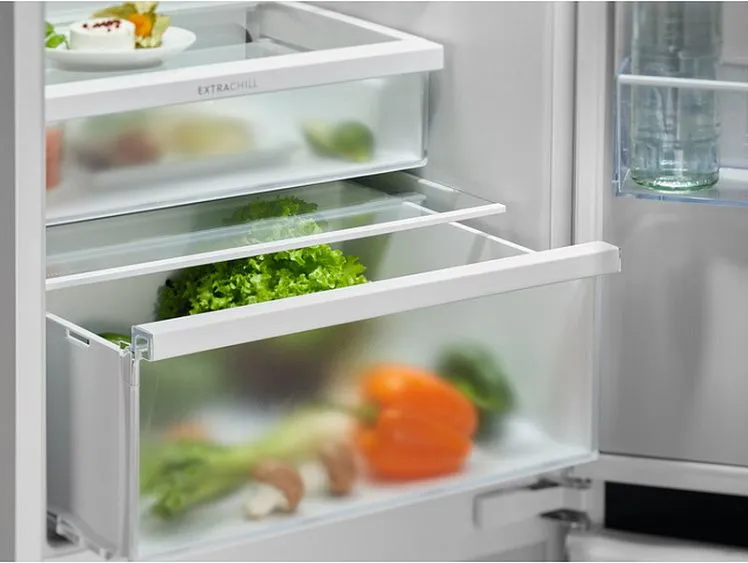 Холодильник ELECTROLUX ENT6MD19S3