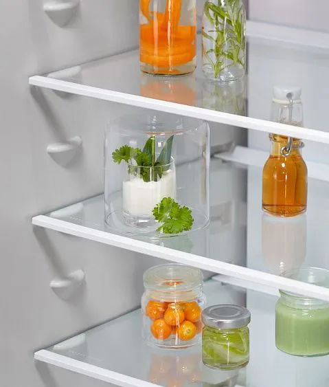 Холодильник ELECTROLUX ENT6MD19S3