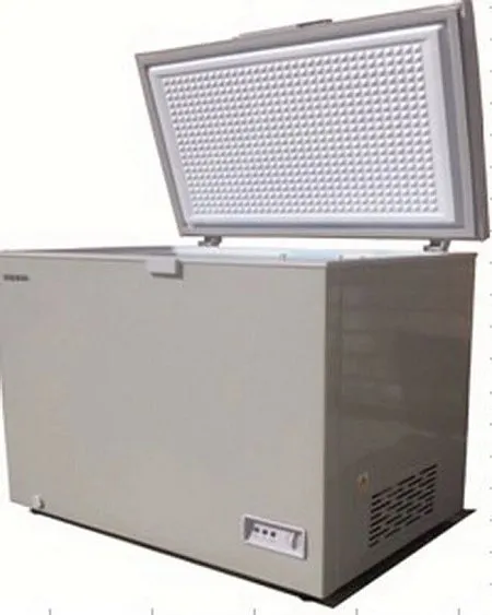 Морозильная камера Bravo XF 302 G