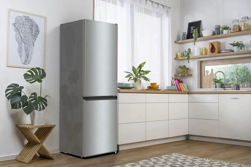 Холодильник GORENJE NRKE62XL