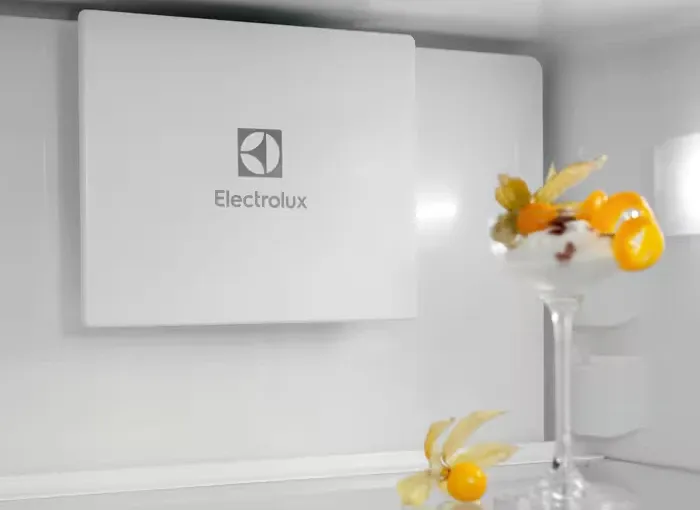 Холодильник ELECTROLUX ENT6MD19S3