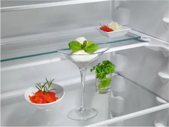 Холодильник AEG TSC8M181DS