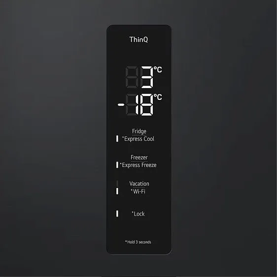 Холодильник LG GC-B509FTZW
