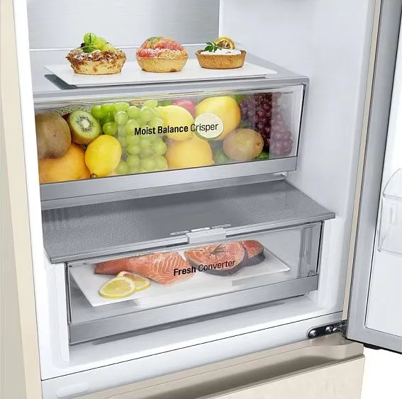 Холодильник LG GC-B509FEPW
