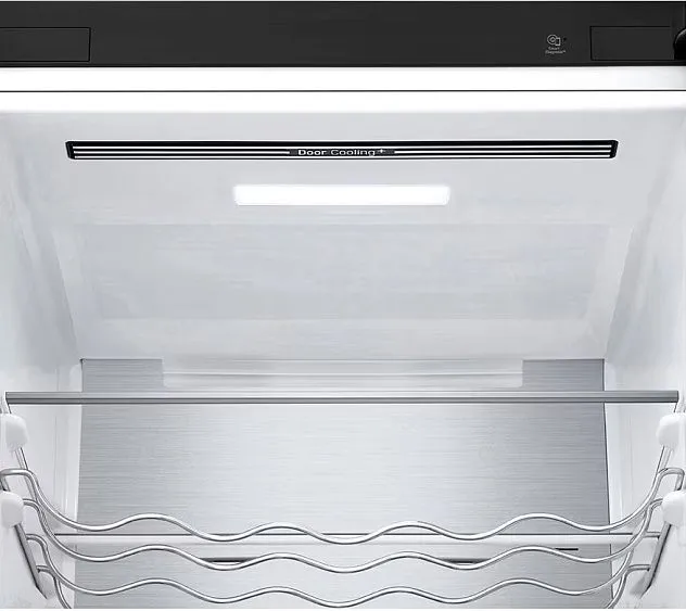 Холодильник LG GC-B509FTZW