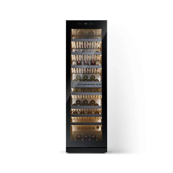 Винный шкаф CASARTE CASWS170GDAI