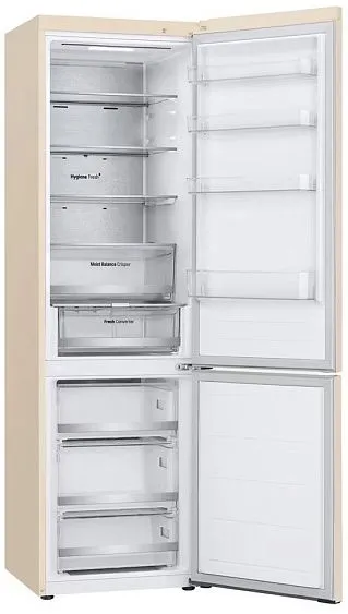 Холодильник LG GC-B509FEPW