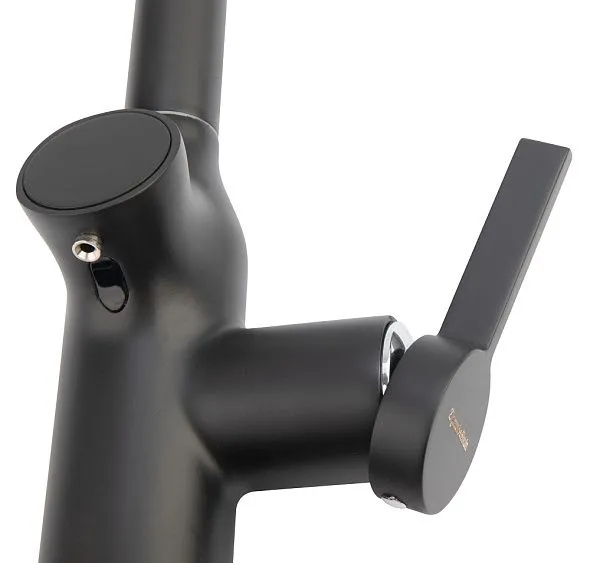 Смеситель ZIGMUND & SHTAIN ZS 2500 черный бальзат