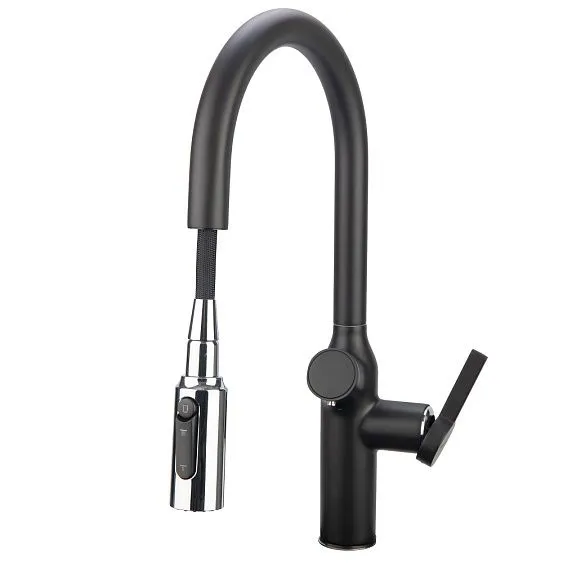 Смеситель ZIGMUND & SHTAIN ZS 2500 черный бальзат