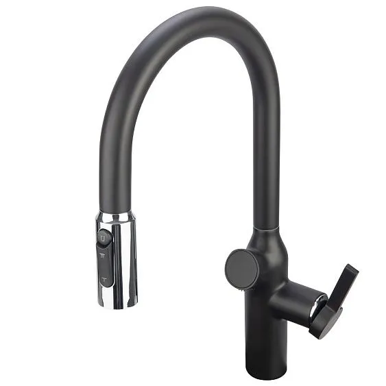 Смеситель ZIGMUND & SHTAIN ZS 2500 черный бальзат