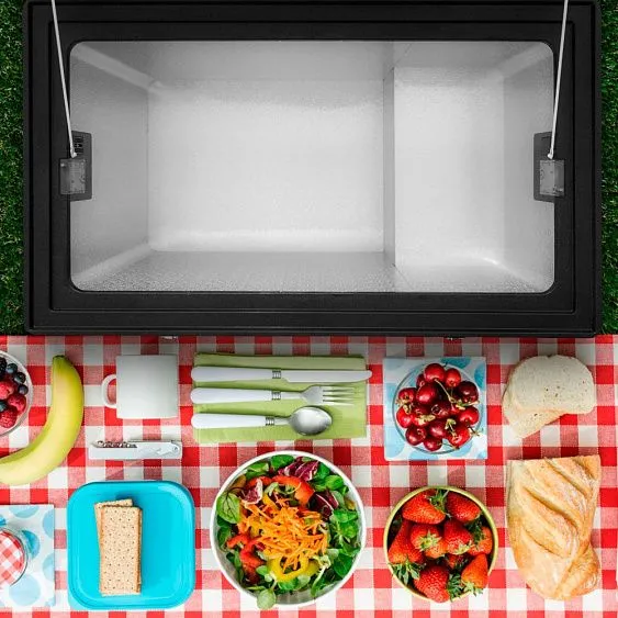 Автохолодильник INDEL B Travel Box STEEL TB100 STEEL BLACK
