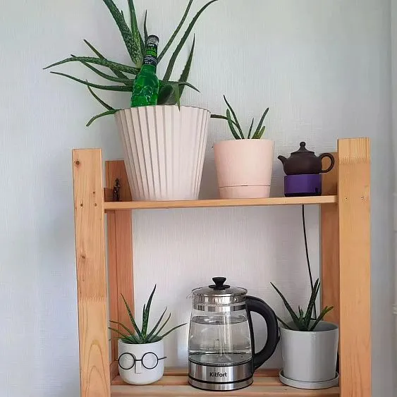 Чайник KITFORT KT-6119