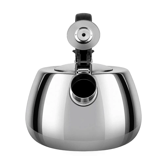 Чайник со свистком MAUNFELD MUFFIN MF115M25KT
