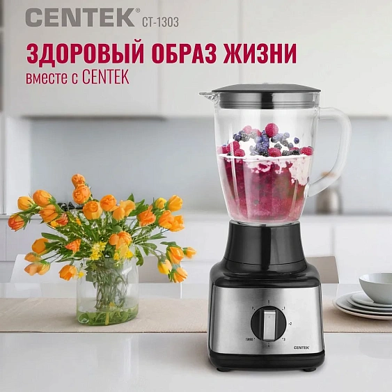 Блендер CENTEK CT-1303
