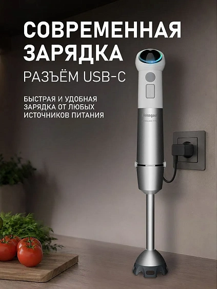 Блендер WEISSGAUFF WHB 341 PTW CordLess Titan