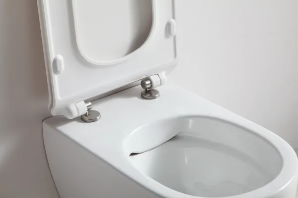 Унитаз SSWW CT2039V