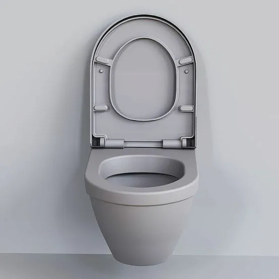 Унитаз AMBASSADOR Nord 133T20301