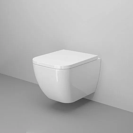 Унитаз AMBASSADOR Forsa 243K19003S