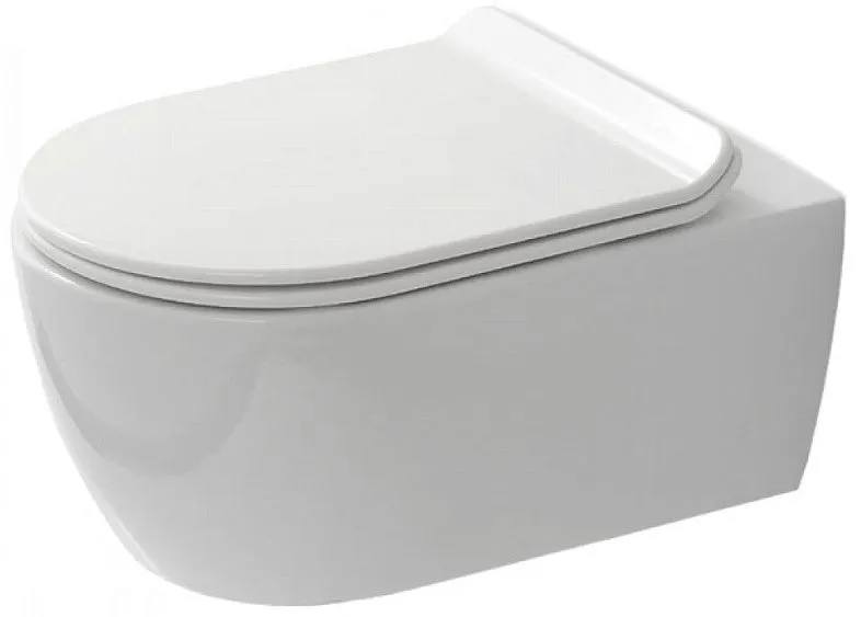 Унитаз SSWW CT2039V