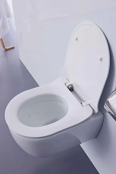 Унитаз SSWW CT2038V