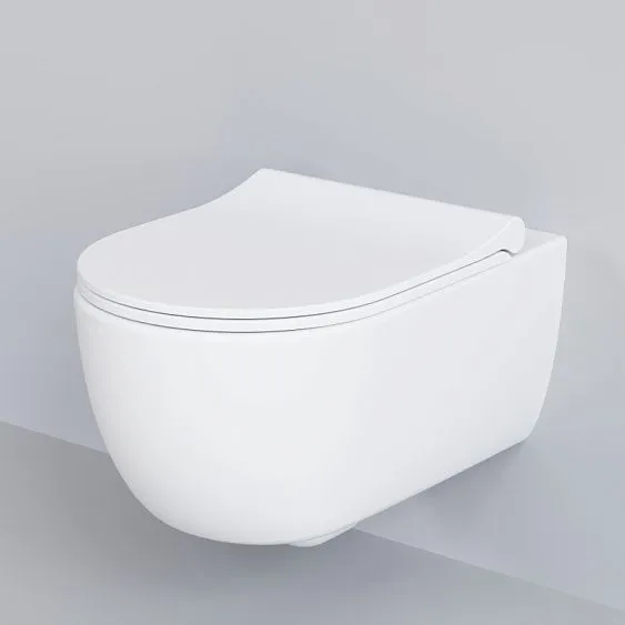 Сиденье для унитаза AMBASSADOR Abner 102T20101S