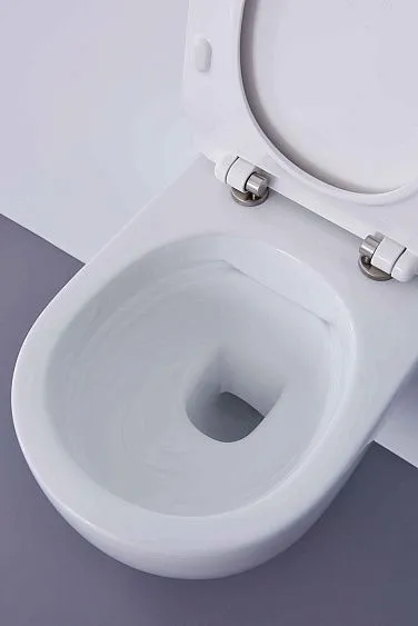 Унитаз SSWW CT2038V