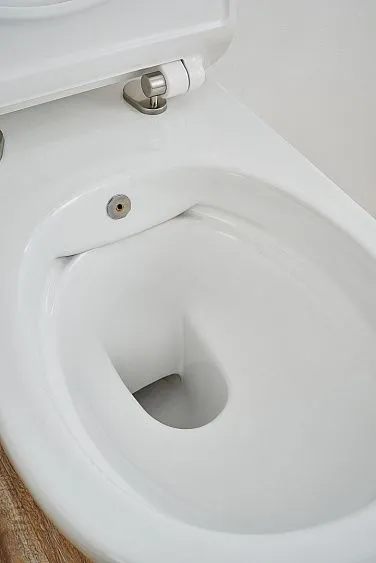 Унитаз SSWW CT2039V-B