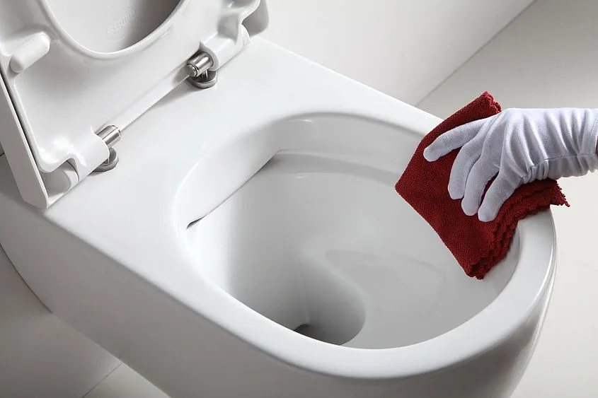 Унитаз SSWW CT2039V