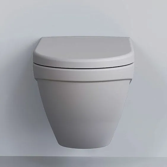 Унитаз AMBASSADOR Nord 133T20301