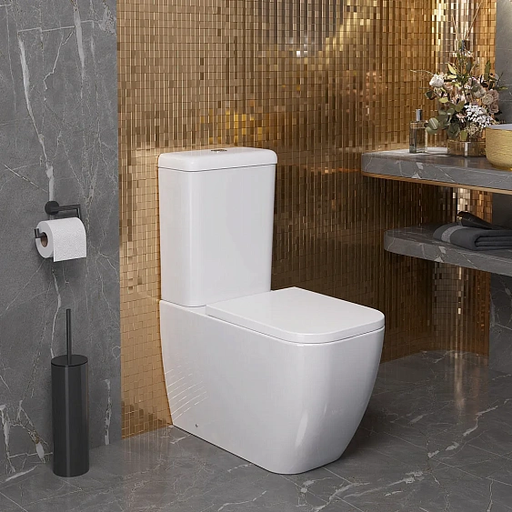 Унитаз AMBASSADOR Forsa 247K19001S