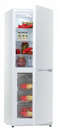 Холодильник Snaige RF 30SM-S10021